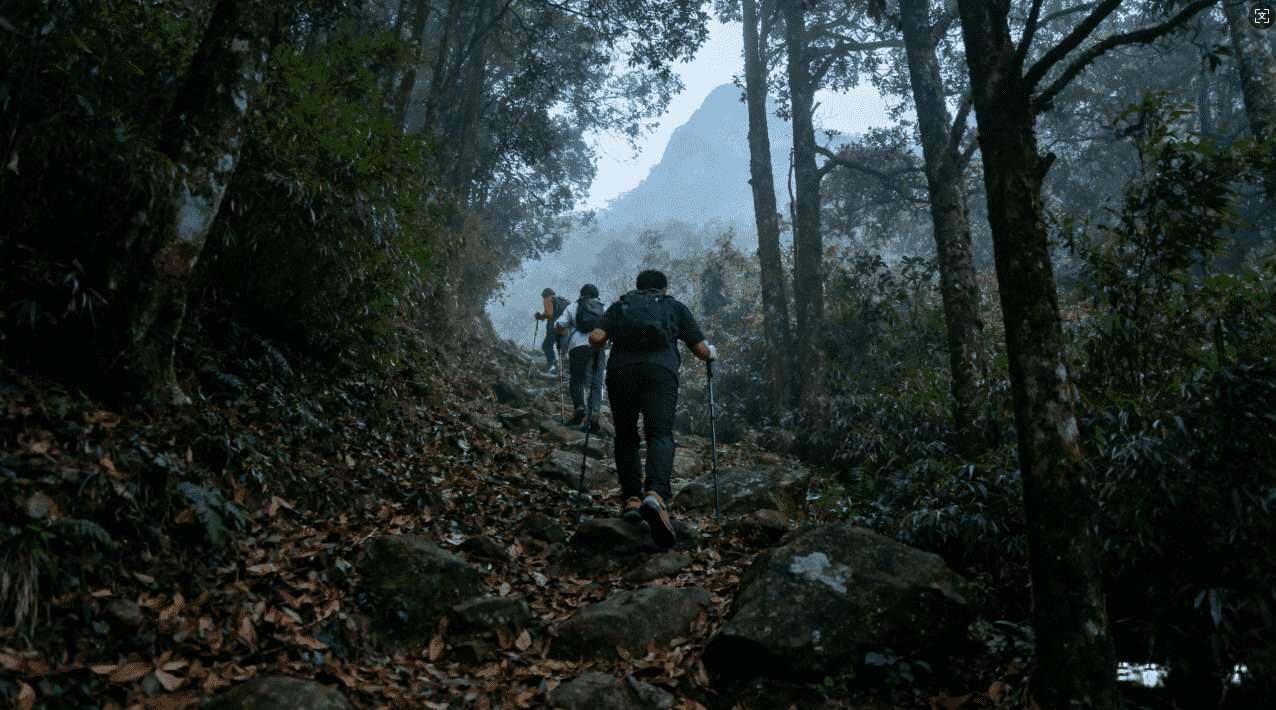 蜜蜂苹果加速器快速提升网络访问速度